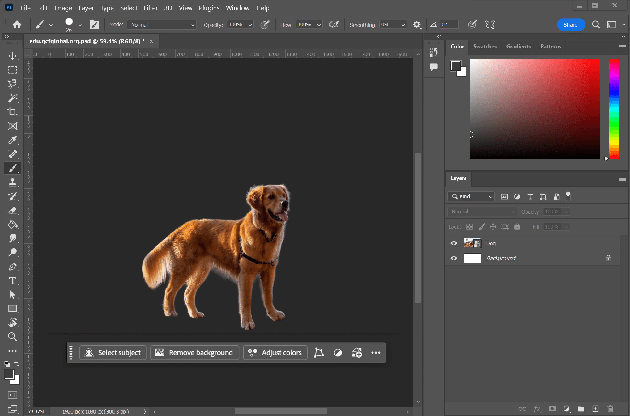 Photoshop after background removal